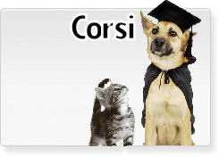 https://www.carpratiche.it/corsi
